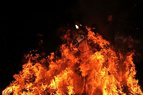 Contenidos Multimedias