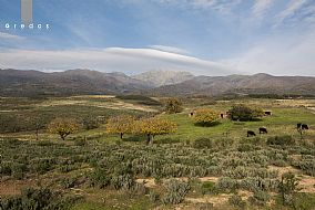 Contenidos de Paisajes