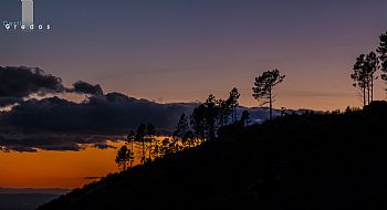 Contenidos de Paisajes