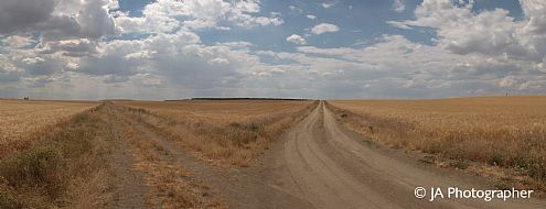 Contenidos de Paisajes
