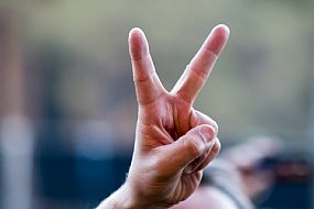 Músicos en la Naturaleza 2014